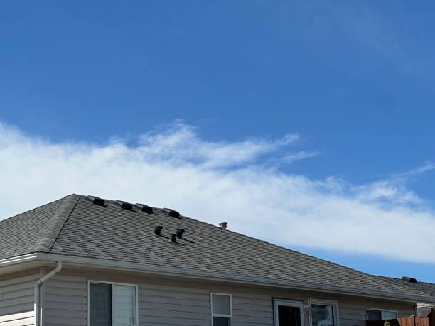 Best Roof Insulation Installation  in Dunlap, OH
